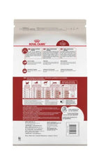 Charger l'image dans la galerie, Nourriture pour chats adultes en forme et actif